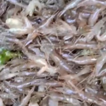 投资小，风险小