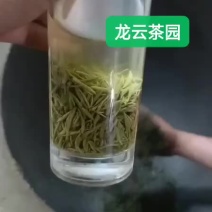 2020年新茶信阳毛尖绿茶明前特贡雪芽
