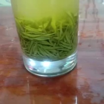 2020年信阳毛尖新茶明前特级