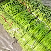 丰县精品蒜薹