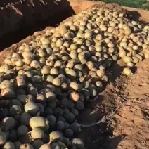 萝卜