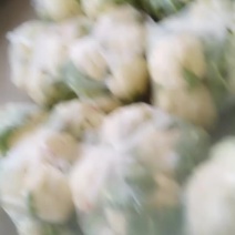 蔬菜