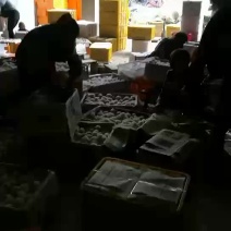 代购代办云南丑枇杷