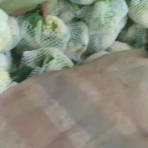 蔬菜