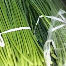 一手货源量大货优