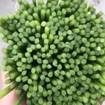 一手货源