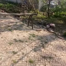 唐山粉条土豆粉丝卢龙粉条***粉丝湖南红薯粉丝讷河粉条