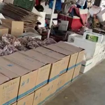 金针菇