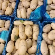 土豆