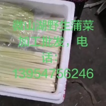微山湖蒲菜真空包装加工