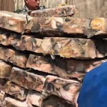 水产加工品带加工可以合作