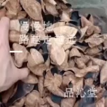 新会陈皮(06年陈皮制、包邮除偏远地区外)