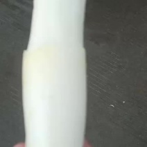 茭白