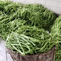黄瓜四季豆