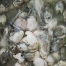 生蚝鲜肉