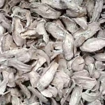 牛蒡根黄金牛蒡根茶牛篣茶新鲜牛蒡根包邮（偏远地区除外）