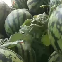 甜王西瓜