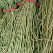 长豆角五一前后大量上市