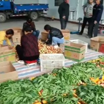 大棚油桃