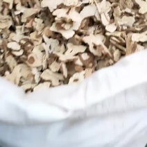 白术支持视频看货，可发往全国市场