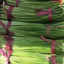蒜薹