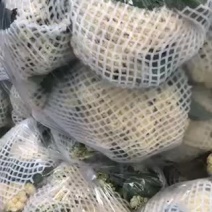 原产地货源大量现货供应