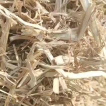 大捆切断柔丝稻草