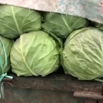 产地货源充足产地一手货源