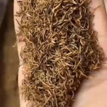 金骏眉红茶小嫩芽头明前桐木关红茶手工制作高山花香型耐泡型