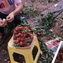荔枝