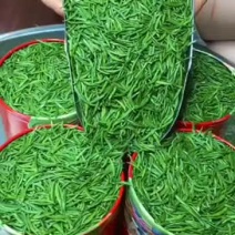 雀舌明前小肥芽，这款可以欣赏雀舌，不满意包退换