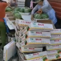 8424无籽西瓜
