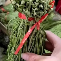 贡菜干特级一级安徽特产苔菜干