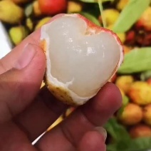价格实惠
