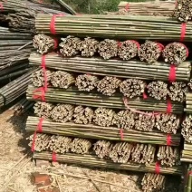 【蔬菜竹架】竹竿菜架竹果树支撑架大棚竹基地直发对接全国