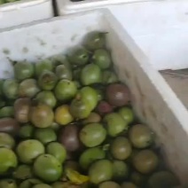 百香果