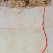(产品类)干粉条生产位置在河省邢台市南和区。