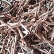 无硫红丹皮黑丹皮