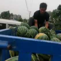 甜王西瓜装车中
