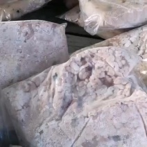 牛蛙苗，牛蛙油，蛙油，青蛙油