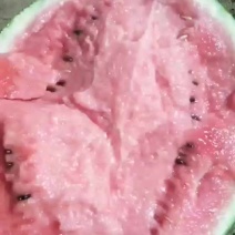 代收西瓜锦王甜王，卖瓜漏
