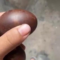 五香烤鸭蛋个大满油不太咸，好吃不贵适合聚会