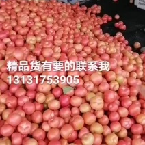 硬粉西红柿