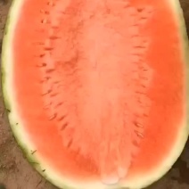 甜王
