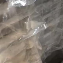 甲鱼蛋需要孵化的来手把手教量大价优