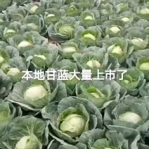 甘蓝