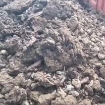 草原牦牛粪，干牛粪，风干牛粪，自然发酵有机肥原料