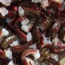 新鲜虾尾