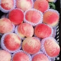 水蜜桃秦安蜜桃大量上市