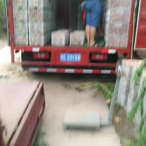 毛挑